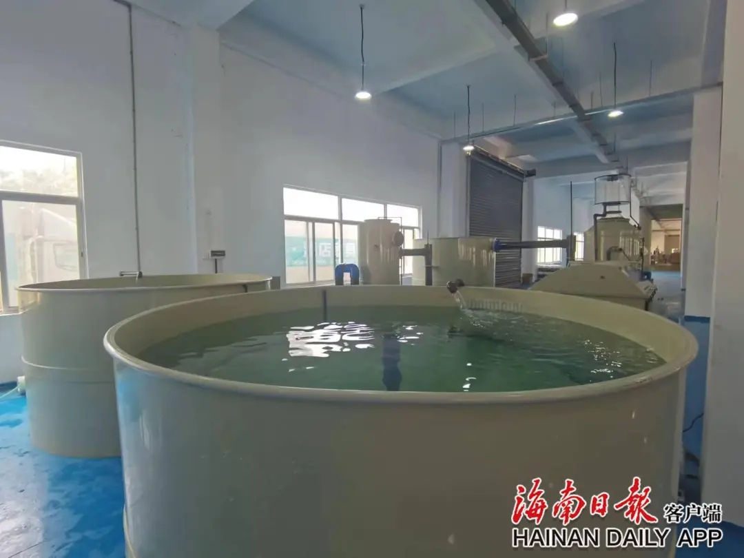 可供给轮回水养殖一站式处理计划 万宁市邦度今世农业财产园一环保渔业养殖设备项目投产(图1)